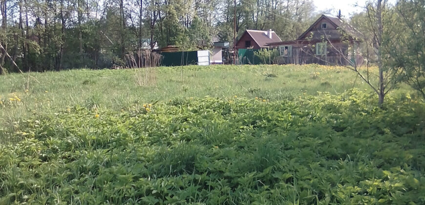 прекрасное место для отдыха (62456667)