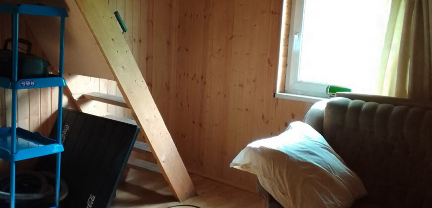 прекрасный отдых на природе (47844791)