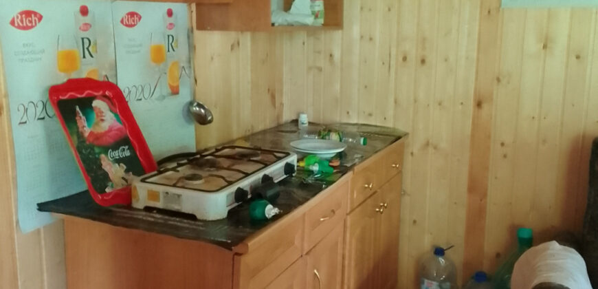 прекрасный отдых на природе (47844791)